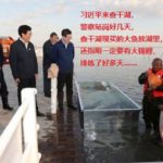 战狼外交失败频传，欧州议会紧急取消欧中投资协定审议