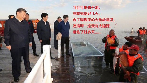 大傻冒习近平被骗大鱼