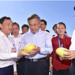 李克强卸任，刘鹤退休，韩正参与暗杀习近平计划，孙春兰年龄太大，二十大胡春华铁定任总理