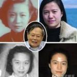 杨振宁小太太翁帆爱去日本被国内网友举报为日本间谍