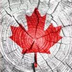 亚裔女大学生温哥华公车上遭围殴 高声呼救无人应