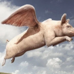 央行印钞的后果显现 瘟猪肉价格飞涨