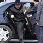 普京引蛇出洞，金正恩惹祸上身