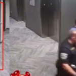 刘强东性侵刘婧尧的案中案：报警人是京东内部人士陶某！