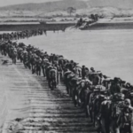 中国人生命如蝼蚁，甚至蝼蚁都不如；习近平宣传长津湖意欲何为？