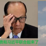 李嘉诚：中华民族民主进程中，必定有香港人智慧的丰采