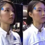 日本“妻子机器人”上市 一小时被卖光