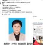 徐焰少将父亲徐明是空军副参谋长，夫人是黄火青女儿黄易宇，黄易宇和新鸿基地产大亨交往甚密，传和不少香港人有私情，徐焰对香港人恨之入骨！