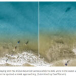 摄影师无人机航拍 意外从鲨鱼口中救下孩子