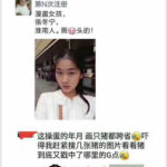 网民问：安徽才女张冬宁 画猪何罪之有 – 岳飞莫须有，文革言语罪 再度上演 – 中共国，离自由越来越远了！