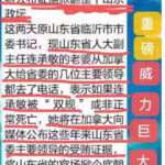 连承敏太太在加拿大威胁中共，掀翻山东整个官场 – 《惨！临沂17岁美少女乳头被警察烧焦》