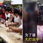 新的贸易战一触即发 中国禁多家澳州肉商进口