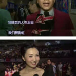 徐峥绿帽绿油油，陶虹承认肉体出轨不叫事儿