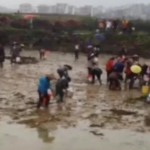 大学生刘正轩毕业后回老家养虾被哄抢