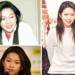 刘晓迎是叶向真和刘诗琨的儿子， 向心是谁？