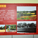 北京卫戍区和武警高层异动，习近平重用河南邓州人张凡迪 – 部队政变才是真正的危险