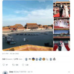 含赵量百分百的叶家乌鸦叶明子笑含赵量低的高露是黑猪？真赵家太庙结婚 故宫停车算个X