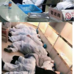 武汉病毒所抢注“瑞德西韦”专利 美国药厂和武汉病毒所回应来了