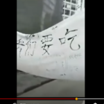 揭秘习近平巡视武汉几个诡异细节 – 忽然觉得这个习大是妖怪