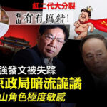 任志强因绝食致心脏衰竭 被紧急送院抢救；任志强如果真死掉，太子党人人自危，将抱团倒习！