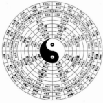 著名玄学大师对2020年的14个预言 一半已应验  — 大地震，大洪水，大暴动即将到来