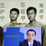 习近平开网络常委会的原因是有常委已经感染瘟疫 – 习近平不去灾区怕被暗杀