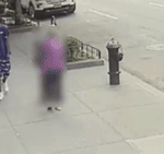 民主已离我们远去，超30万人逃离了纽约