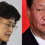 红二代蔡霞：换掉习近平已成党内共识