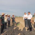 中国人口塌陷已经到来