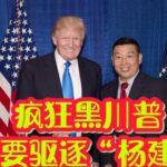 美参议员：民主党人勾结中共情况严重