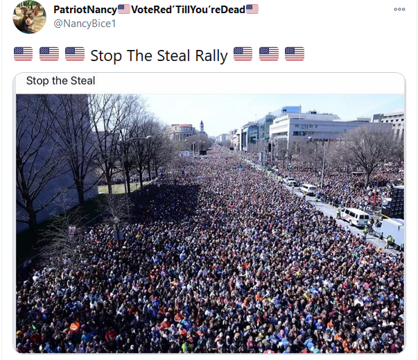 支持川普 - stop the steal rally
