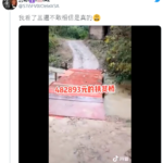 广西一座扶贫桥耗资48万 看看这桥长啥样？