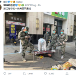 大白回来了，又回来了！是否限制人类自由？世界拭目以待