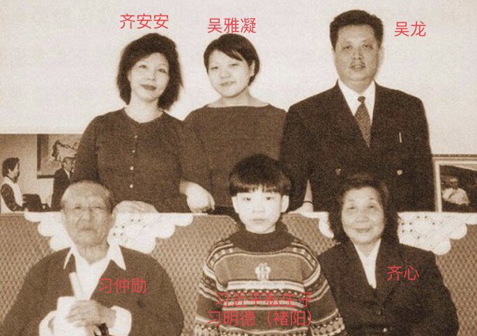 习近平的二姐夫吴龙和其私生子习明德