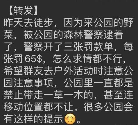 华人圈疯传：公园野菜不能采 已有人被连开3罚单