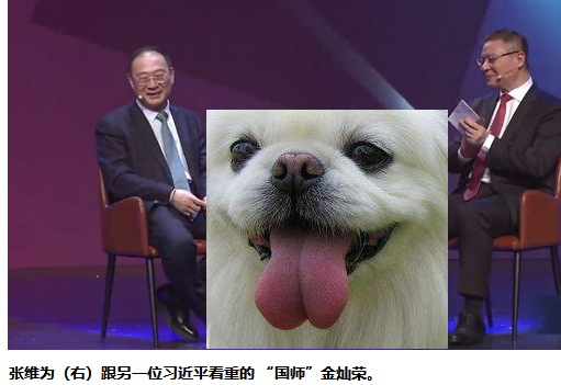 张维为（右）跟另一位习近平看重的 &ldquo;国师&rdquo;金灿荣与哈巴狗