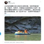 四通勇士彭立发发出“国贼习近平下台”后，《北京的桥》被禁，还有大事发生？