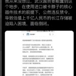 政府官员全是红卫兵水平，软文揭露芯片企业长江存储倒闭经过