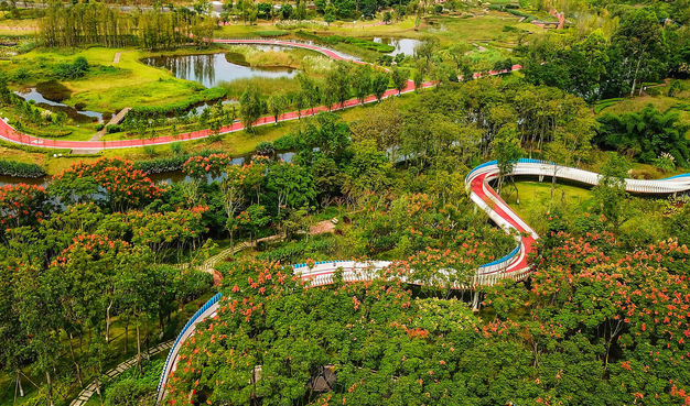 成都环城公园绿化带