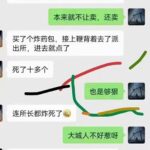 鞭炮大侠勇炸河北派出所，炸死11人；网民兴高采烈，高层认为雪已经崩了