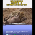 加中两国互相驱逐外交官，美中脱钩趋势或加剧？