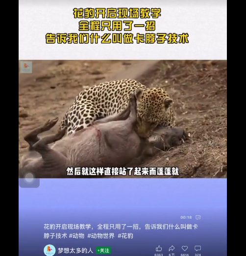 卡脖子技术 - 习近平野猪和花豹 - 习近平和猪