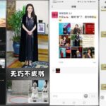 秦刚傅晓田均是国安间谍，但秦刚属于习近平系统而傅晓田属于江曾一脉，习近平恼秦投靠改革派阵营