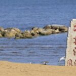 胡锦涛重磅发声：二十大是政变，责令习近平立刻辞去总书记、军委主席和国家主席职务