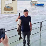 习近平下台信号明显：马云刘强东等大佬们都回来了