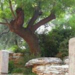 共产党四年内（2026年）灭亡