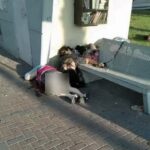 哈马斯指挥官在中国培训，其结构和中共一样；以色列已经杀哈马斯三个政治局委员