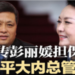 新疆副书记陈伟俊供出马兴瑞和彭丽媛名下有三千亿干股