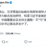 王岐山、汪洋等前任高官和红二代联合，准备结束习近平家族统治