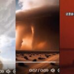 马兴瑞为大秘漂亮情妇开绿灯，该女巨额捞钱支持土耳其疆独